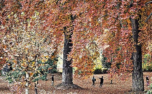 2051284_1f22f5008ebf01e82a7c09432eb6c352_620